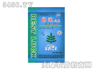 �Õr��-���\֮��