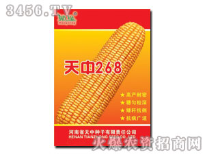 ����268-���׷N��