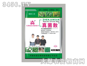 ���\(ch��ng)���ɢ