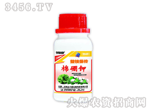 ������-��֦��������