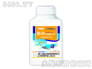 ������-�}��