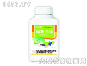 ������-ֲ������