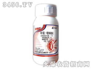 ����؞��������ͪ