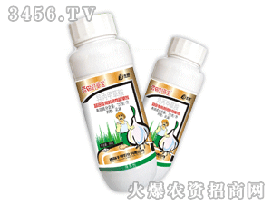 �����݌�-�����ײݰ�