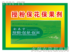 ��̩��-�ڷ۱���������