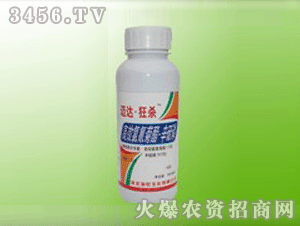 ����-��Ч��������\����