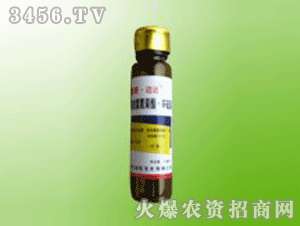 ����-������10ML