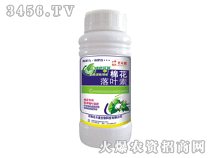 ������-�޻����~��