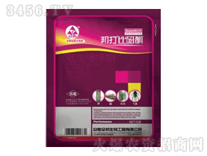 ����-����ѽͪ