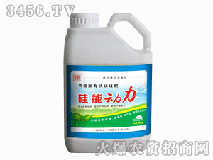 ����ʘI(y��)-���܄�(d��ng)��