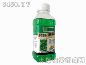 ����ʘI(y��)-픻���������պ��ˎ