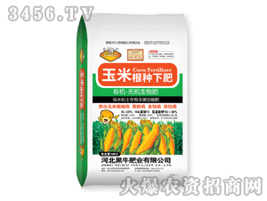 ��ţ-���׸��N�·�