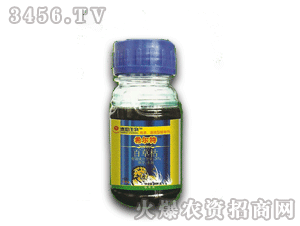 ̩�-ϣ����