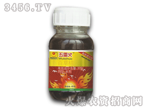 ̩�(y��ng)-���׻�