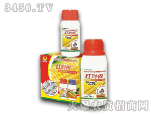 ̩�(y��ng)-�t����