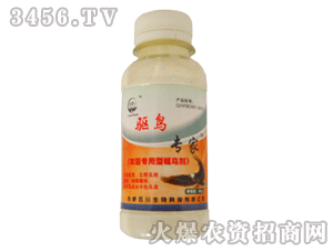 �ٴ�-�(q��)�B����