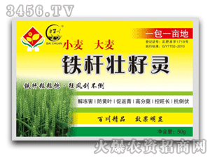 �ٴ�-�F�U�����`