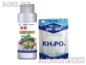 �ٴ�-��������