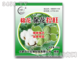 �ٴ�-�޻���������