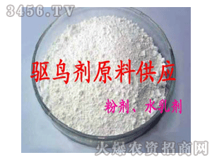 �ٴ�-�ٴ��(q��)�B��