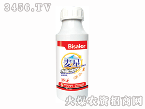 ��ِ��-����