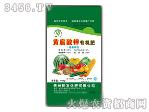 ǭ�l(f��)-����(r��n)�S������ЙC(j��)��