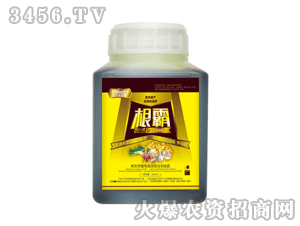 ������-����