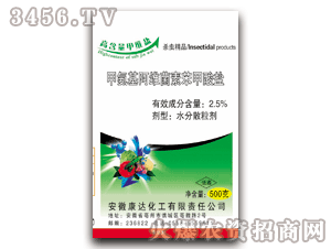 ���_-�װ������S���ر������}