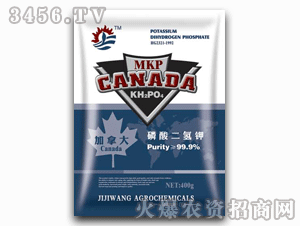 ������-���ô���������