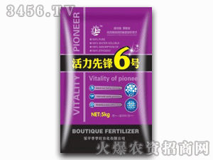 ������-�������h6̖(h��o)