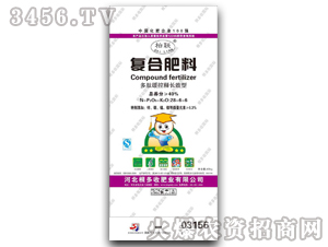 ������-�ͺϷ���-���׷�28-6-6