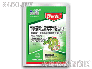 ���ޞ�-�װ������S���ر������}������