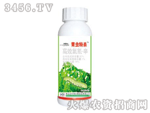 ���x�ؚ�-��Ч������