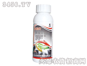 ҹ����-����������