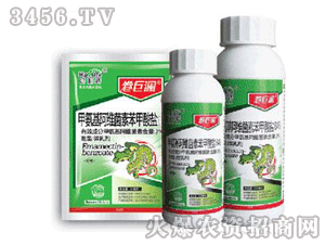 ���ޞ�-�װ������S���ر������}