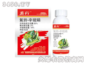 ����-���������