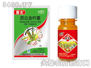 ϲ��-�K�ƽ�U��