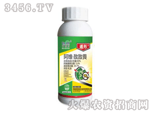 ����-���S����η