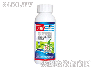 ����-������