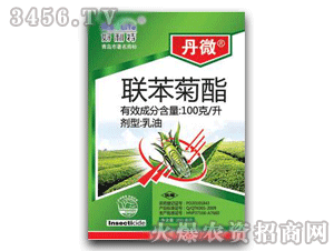 ��΢-������������