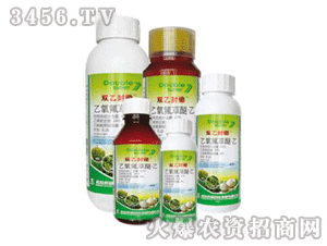 �p�ҷ��z-������������