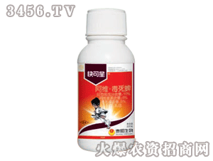 ����ǰ��S������