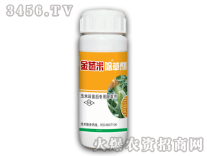 ����׳��݄�