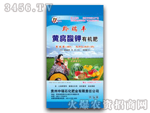 ǭ���S-�S������ЙC(j��)��