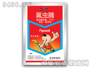 ������-���x��20��