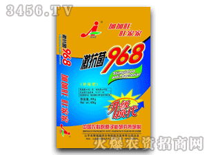 �Ӽ���-������968�_ʩ��������