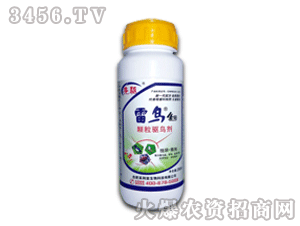 �ٴ�-���B4̖-�w���(q��)�B��