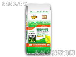 ��ţ-�����ЙC(j��)��