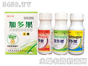 ������������ˎ-�Ӷ��