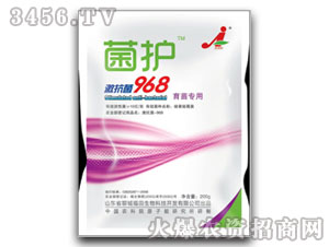 ���猣�÷�-���o������968-��������